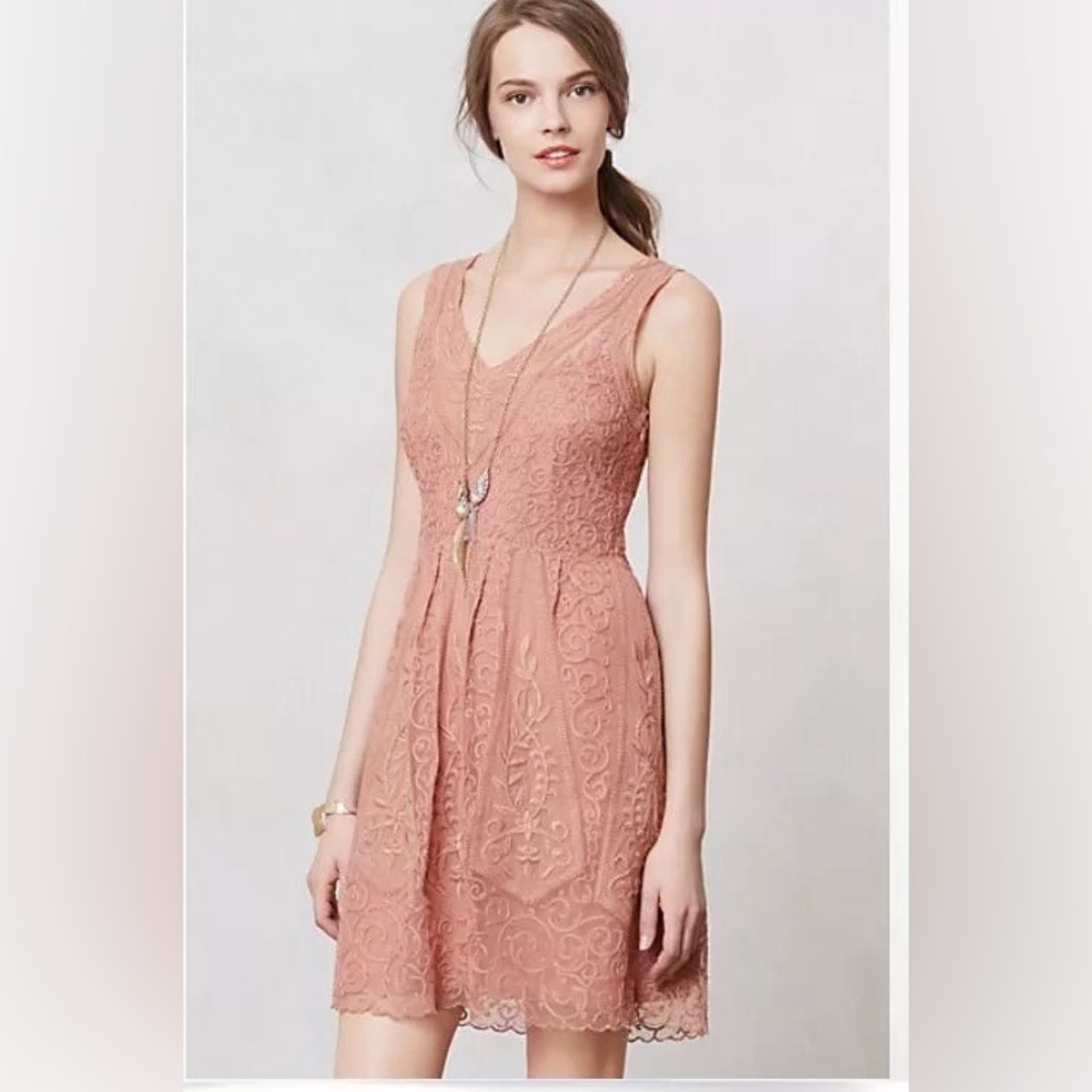 Anthropologie At Dusk Dress Sz 6 Dusty Rose Lace Embroidered Fit & Flare - Picture 13 of 14